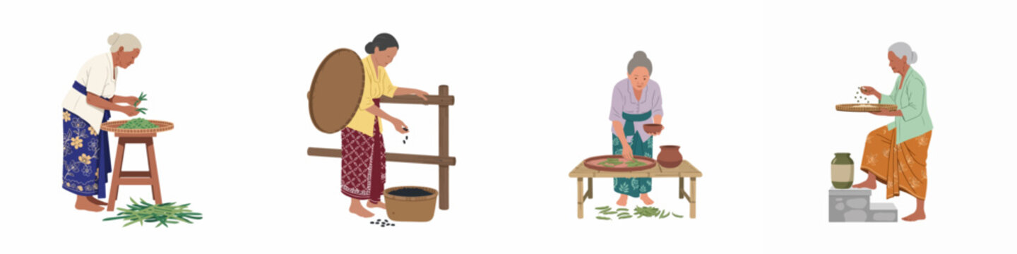 Four flat vector illustrations of elderly Southeast Asian women performing traditional agricultural tasks like sorting leaves, winnowing grain, and processing harvest.