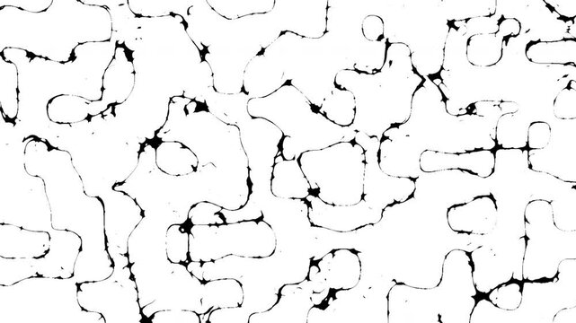 A pattern of irregular black lines on a white background, resembling a network or organic structure.
