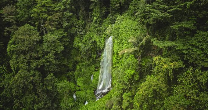 Sendang Gile waterfall cascades down a steep rock face, surrounded by dense tropical foliage and vibrant green trees in the heart of Lombok's untouched jungle. Indonesia wild nature landscape