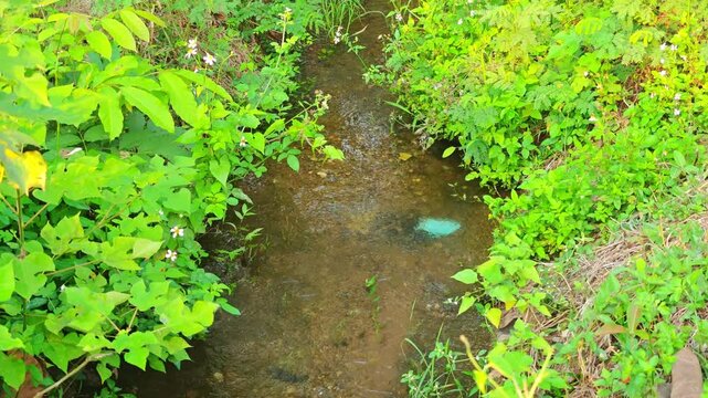 Irrigation canals, sluice gates