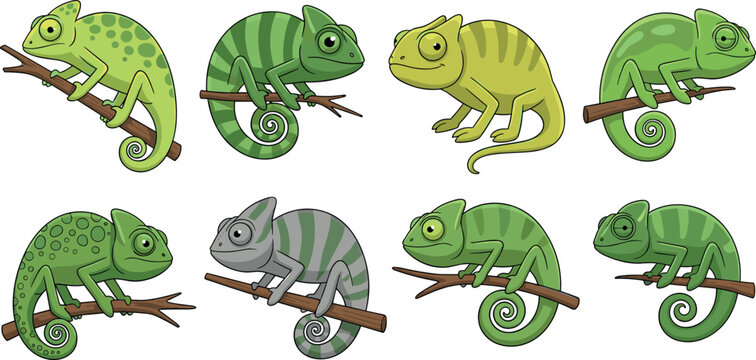 Collection of colorful chameleon characters sitting on branches cartoon vector illustration set isolated reptile animal design elements bundle