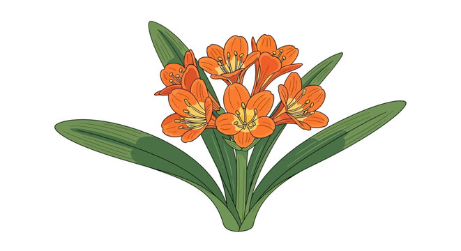 A cluster of vibrant orange clivia flowers with lush green leaves.
