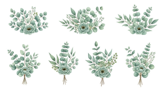 Set of seven watercolor floral bouquets featuring silver dollar eucalyptus branches, green ranunculus blossoms, seeded berries, and sage foliage isolated on white background.