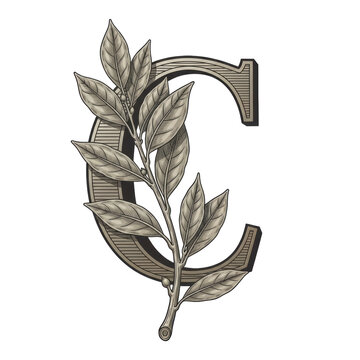 Monogram letter C with laurel leaves