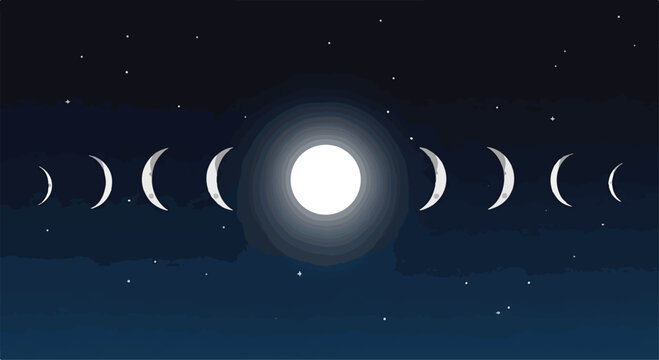 A visual representation of lunar phases
