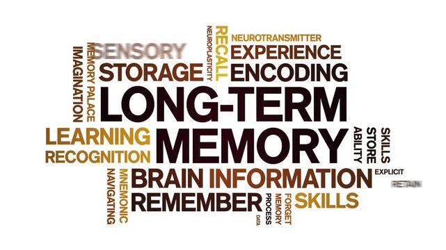 Long-Term Memory animated word cloud-text design animation tag kinetic typography seamless loop.