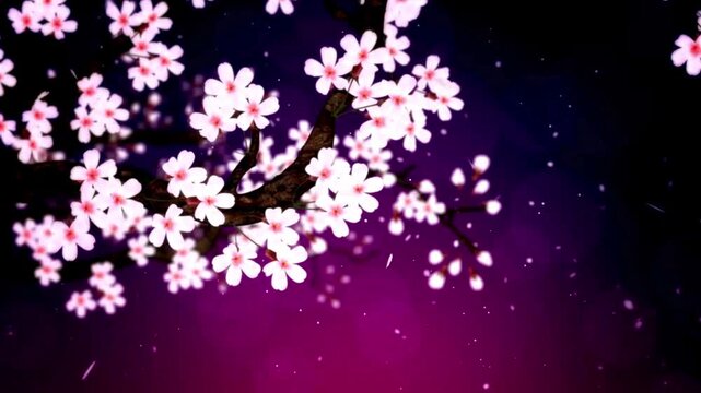Elegant pink and purple cherry blossom floral frame with blooming spring flowers. Decorative vector illustration ideal for cards, wallpapers, romantic themes, and seasonal desi