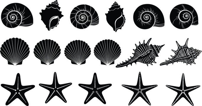 Seashell and starfish silhouettes on a white background