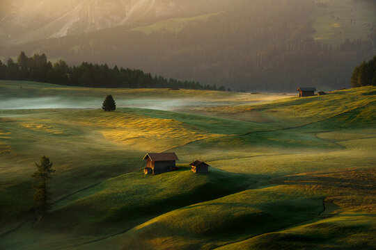 View of wooden huts on rolling green hills of Alpe di Siusi with morning mist and golden sunrise light in Trentino-South Tyrol, Italy.