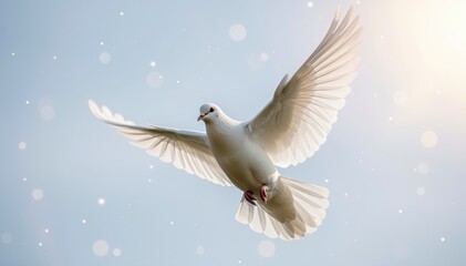 Obraz premium Dove Soaring in Azure Sky: A pristine white dove soars gracefully against a backdrop of a bright azure sky, embodying the essence of peace and freedom.