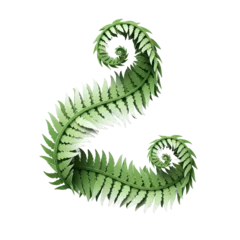 Green fern frond unfurling in spiral pattern on black background © Tungbackground