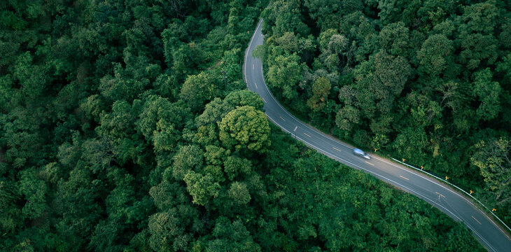 Forest road aerial scene symbolizing responsible investment, green economy, and environmental protection strategy.