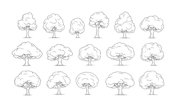 Collection of hand drawn deciduous trees in various shapes and sizes nature plant