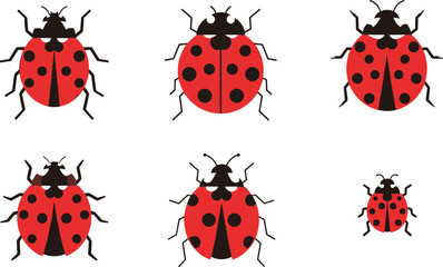 Fototapeta premium Vector Illustrations of Red Ladybugs with Black Spots for Nature, Garden, and Insect Art Designs