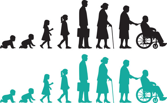 Human life cycle silhouette from infancy to seniority depicting growth and aging