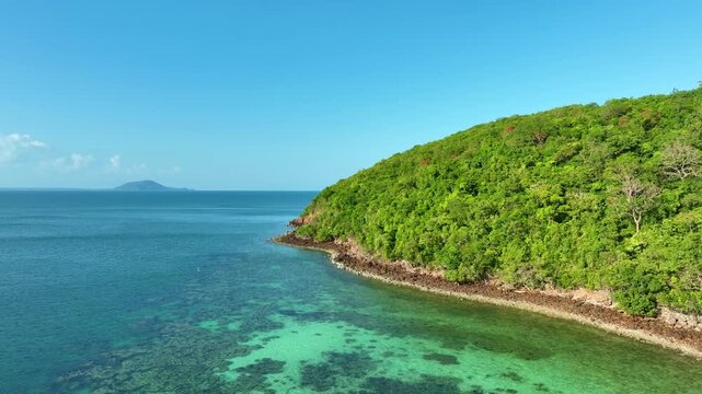 Aerial view of a dense, vibrant green coastal jungle meeting dark blue ocean water and blue sky A thin, rocky beach and white foamy waves separate the rugged terrain from the sea.concept nature	