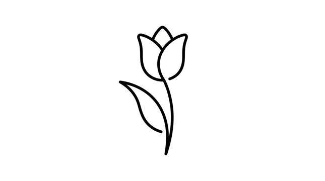 Elegant minimalist line art of a single tulip blossom, representing nature's delicate beauty and growth through simple design