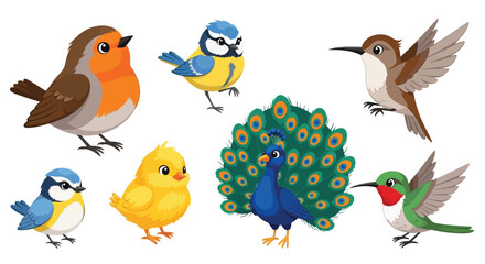 Cute Bird Family Clipart - Cartoon Birds with Peacock Vector Illustration Set © Elsandro