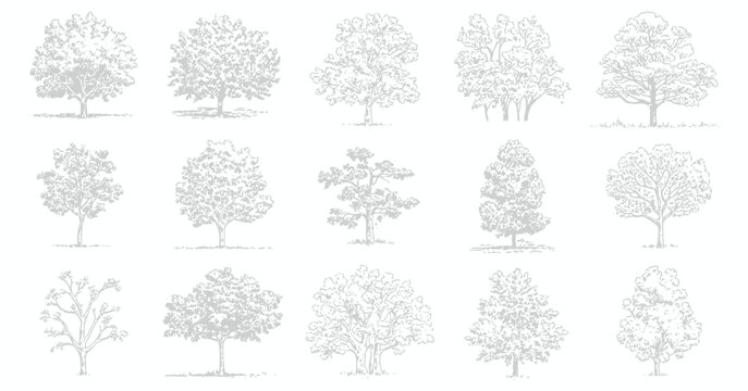 Deciduous Trees, Black and White Line Art Set with Textured Foliage and Visible Roots, Botanical Illustration for Landscape Design and Architectural Drawings