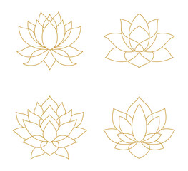 Fototapeta premium Golden lotus flower set line art collection isolated transparent background elegant floral clipart png
