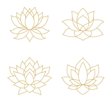 Golden lotus flower set line art collection isolated transparent background elegant floral clipart png
