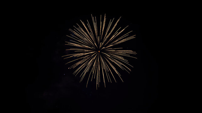 Gold burst fireworks radiating across dark night sky with minimal smoke and calm mood