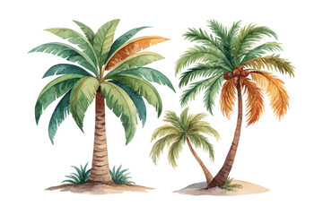 Fototapeta premium Hand-Painted Palm Tree Watercolor, Tropical Island Plant Clipart, Isolated Vector Illustration