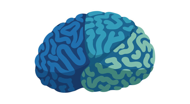 Abstract Brain Illustration - Left Hemisphere Blue, Right Hemisphere Green