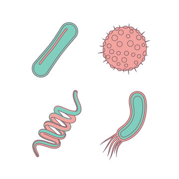 Diverse Microorganism Shapes: Bacteria, Virus, Spirilla, Bacillus - Medical Science Illustration