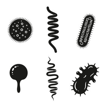 Microscopic Bacteria Shapes: Cocci, Bacilli, Spirilla - Diverse Microorganism Icons
