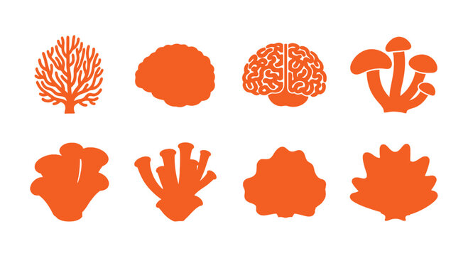 Orange Icons: Brains, Corals, Mushrooms, and Shells - Abstract Biological Forms