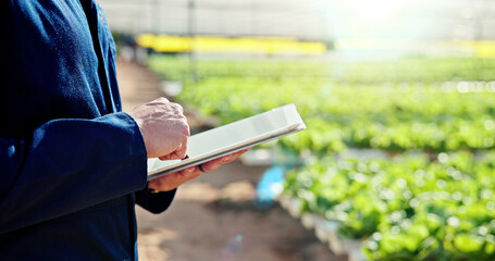 Fototapeta premium Agriculture, hands or farmer with tablet in greenhouse, horticulture research or pest control advice. Harvest report, farming or person with tech for crop growth info, internet or sustainability tips