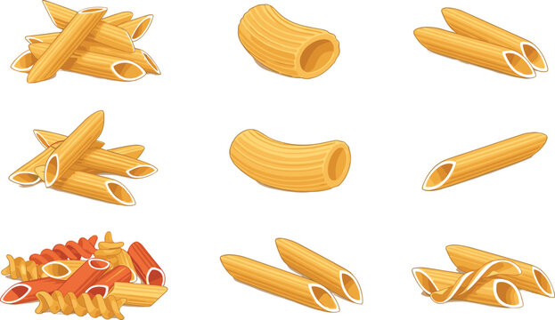 Pasta shapes collection with penne macaroni and rigatoni Italian food ingredients isolated vector illustration set