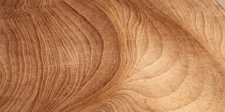 A natural brown oak wood texture background features an old timber grain pattern on a weathered plank surface with a macro closeup of hardwood rings