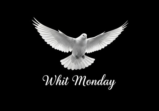 White dove flying with outstretched wings on black background with whit monday text