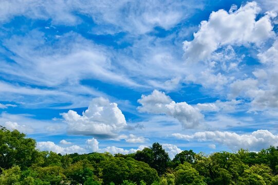 青空と雲