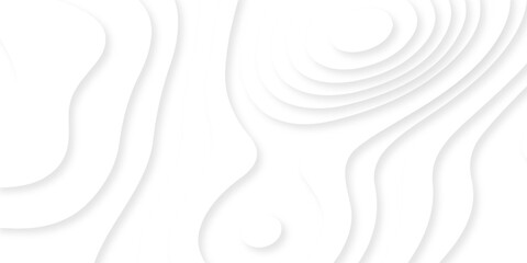 white topography map geography relief diagram texture design. Topography white background and black line world map texture design. Lines Topographic contour lines grid map seamless pattern. © MDFAIMIDULISLAM
