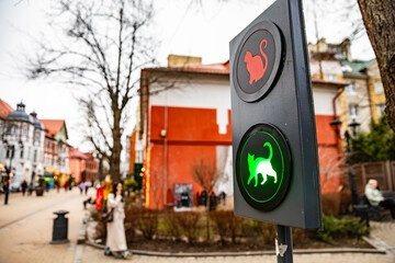 Outdoor pedestrian traffic light for cats © Andrey Tishin
