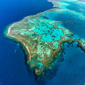 Aerial view of a large, complex coral reef in the ocean