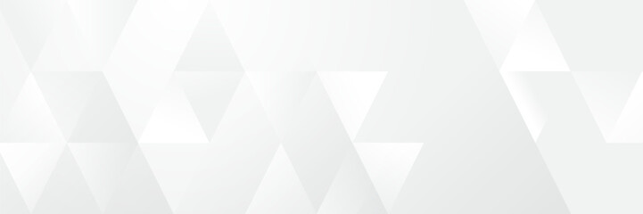 Fototapeta premium Abstract pattern white geometric banner design background.