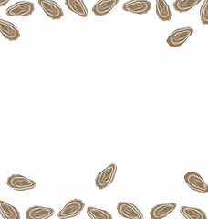Oyster Background. Handdrawn Shell Seafood Illustration. Marine Coastal Background for Packaging Textile Design © Zayyan 
