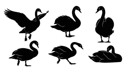 Obraz premium Black Swan Silhouette Vector Collection Set
