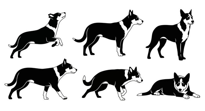 Border Collie Dog Silhouettes in Various Poses ? Vector Illustration