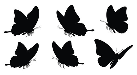 A collection of six detailed butterfly shapes presented in stark black silhouette © MdKabir