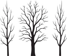 Obraz premium Vector silhouette of tree.