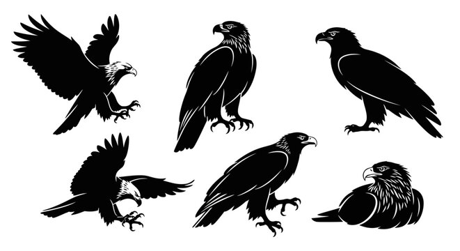 Eagle Silhouettes Set: Collection of Majestic Birds of Prey in Various Poses