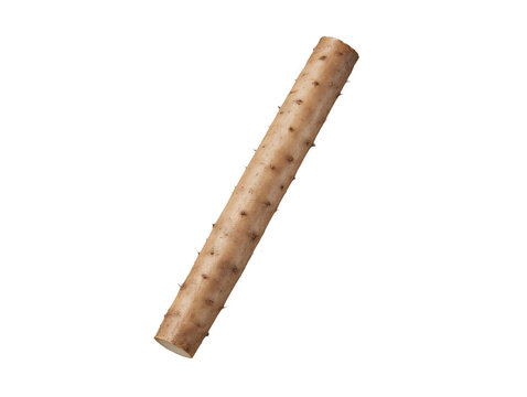 [Transparent Background PNG]Single Raw Cassava Root on Gray Background