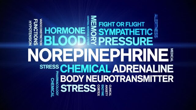 Norepinephrine animated word cloud-text design animation tag kinetic typography seamless loop.