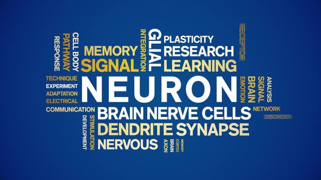 Neuron animated word cloud-text design animation tag kinetic typography seamless loop.