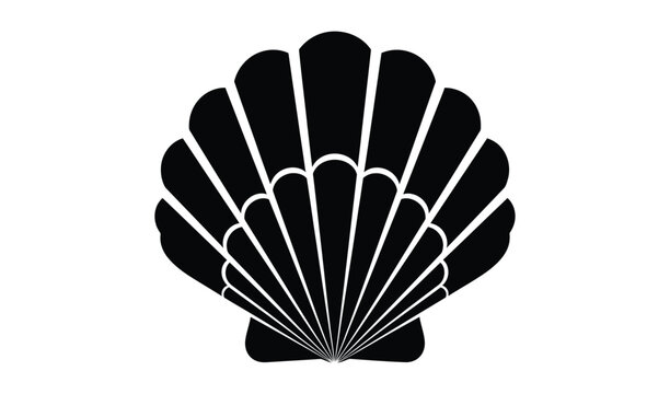 Detailed black and white illustration of a scallop shell, showcasing intricate radial lines and symmetrical pattern, isolated on a clean background.